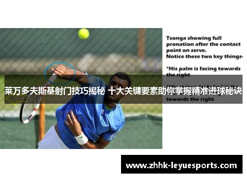 莱万多夫斯基射门技巧揭秘 十大关键要素助你掌握精准进球秘诀
