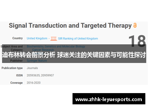 迪布林转会前景分析 球迷关注的关键因素与可能性探讨
