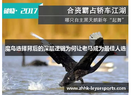 魔鸟选择背后的深层逻辑为何让老马成为最佳人选 魔鸟选择背后的深层逻辑为何让老马成为最佳人选