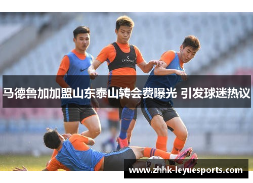 马德鲁加加盟山东泰山转会费曝光 引发球迷热议